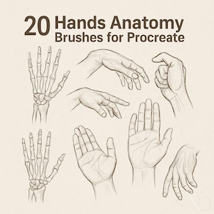 Könnte beinhalten: Illustration verschiedener Handposen und Skelettstrukturen. Das Bild enthält den Text "20 Hands Anatomy Brushes for Procreate". Die Hände sind in einem detaillierten, künstlerischen Stil gezeichnet und zeigen verschiedene Winkel und Gesten.