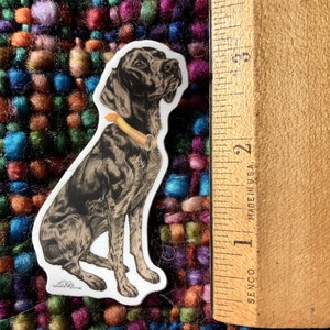 Adesivo de ponteiro de pêlo curto alemão, decalque de vinil cortado de 3”, cão de caça, cão de arma, GSP, à prova d'água para garrafas de água, tablets e laptops