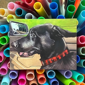May include: A rectangular sticker featuring a black dog with a red and black collar, appearing to be riding in a car. The dog's head is visible, with the side mirror and a green background. The sticker is surrounded by colorful markers.