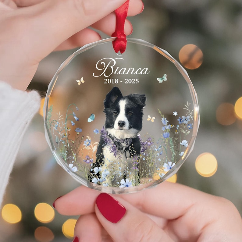 May include: A clear, round ornament with a red ribbon features a black and white dog portrait surrounded by flowers and butterflies. The name "Bianca" and the years "2018-2025" are displayed in elegant script, creating a personalized keepsake.