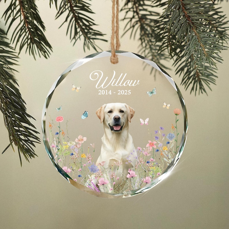 May include: A clear, round ornament with a photo of a yellow Labrador Retriever in a field of flowers. The ornament has the name "Willow" and the years "2014-2025" printed on it. The ornament is hanging from a natural twine.