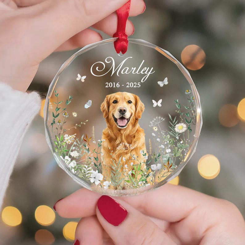 May include: A clear, round ornament with a red ribbon. The ornament features a golden retriever illustration surrounded by flowers and butterflies. The name "Marley" and the years "2016-2025" are displayed on the ornament.