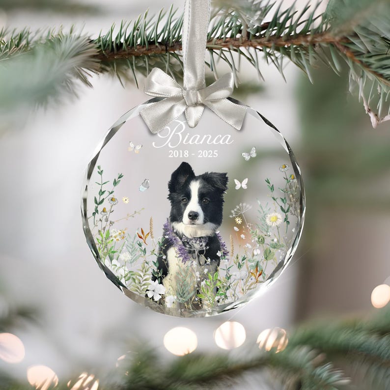 May include: A clear, round Christmas ornament with a photo of a black and white dog named Bianca. The ornament has a white ribbon and bow for hanging. The dog is surrounded by flowers and butterflies. The years 2018-2025 are printed on the ornament.