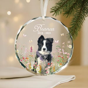 May include: A clear, round glass ornament with a photo of a black and white dog surrounded by flowers. The ornament has the name "Bianca" and the years "2018 - 2025" printed on it. A white ribbon is attached for hanging.