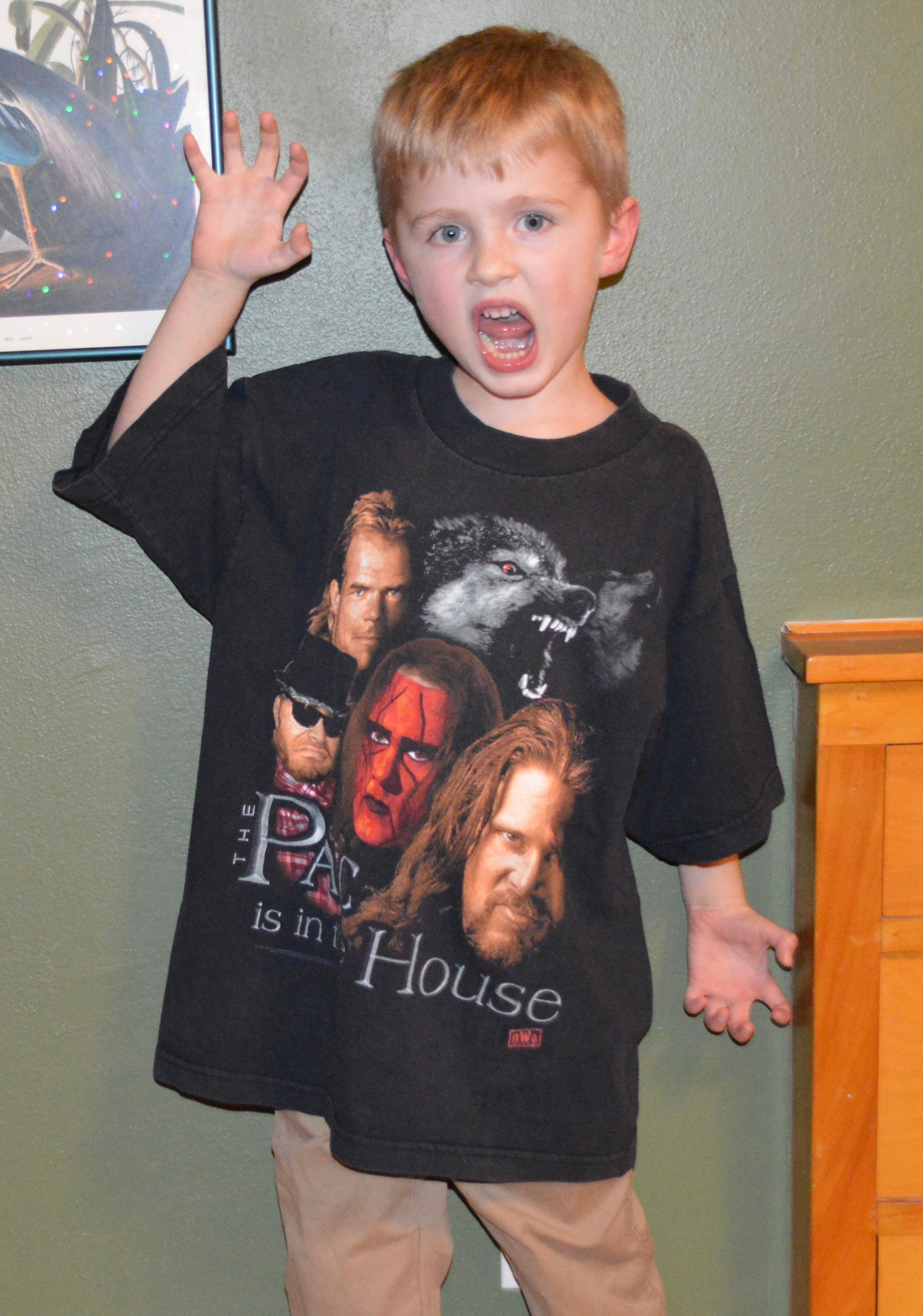 90s USA製 \"NWO × WCW プロレス Tee\" Vintage 90s Sting NWO WCW Wrestling Tee T Shirt Sunfaded 2XL •2