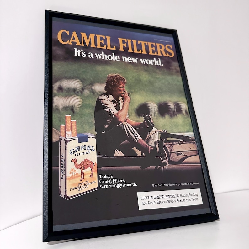 May include: A framed vintage Camel Filters advertisement poster featuring a person sitting in a vehicle in a grassy field with zebras in the background. The text reads CAMEL FILTERS, It's a whole new world, and includes a Surgeon General's warning.