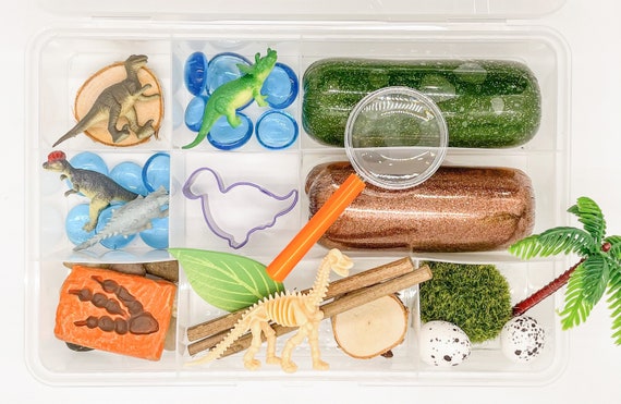 Dino-Rawr Kid Kit