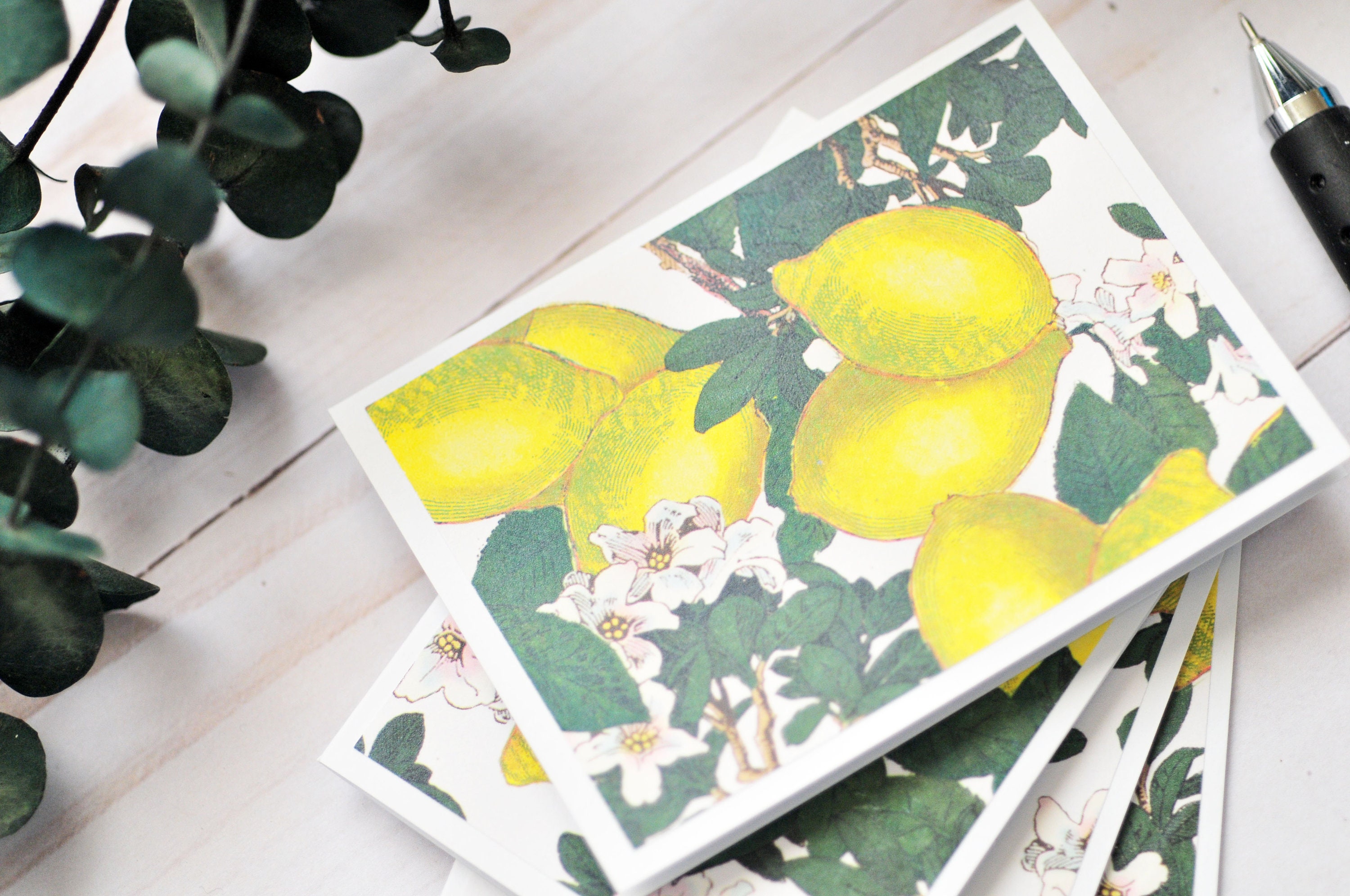 Lemon Mini Cards Set Of 4 Blank Cards Citrus Etsy lemon-mini-cards-set-of-4-blank-cards-citrus-etsy