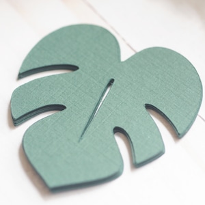 May include: A green paper leaf shaped like a monstera plant. The leaf is layered and has a textured surface.