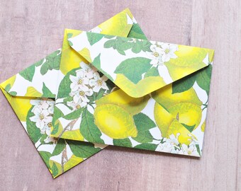 Lemon Mini Cards – Set of 4 – Fruit Pattern Envelopes for Love Notes, Weddings & Gift Enclosures