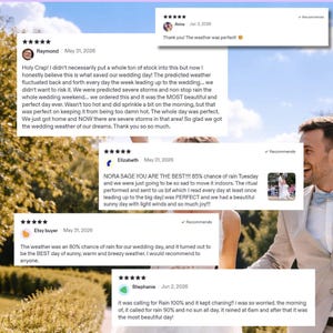 Puede incluir: Un collage de cinco rese&ntilde;as de clientes con calificaciones de cinco estrellas y testimonios de texto sobre experiencias clim&aacute;ticas en bodas, superpuesto a una fotograf&iacute;a de una pareja con ropa de boda caminando al aire libre en un jard&iacute;n soleado.