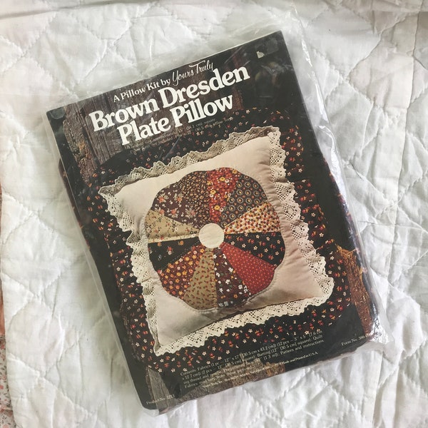 Brown Dresden Plate Pillow Craft Kit from 1978