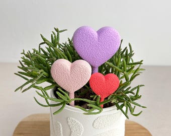 Suporte para plantas em formato de coração – Enfeite decorativo para vasos de plantas de interior, acessório moderno para casa.