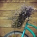 Owner of <a href='https://www.etsy.com/ca/shop/freshlavender?ref=l2-about-shopname&from_page=listing' class='wt-text-link'>freshlavender</a>