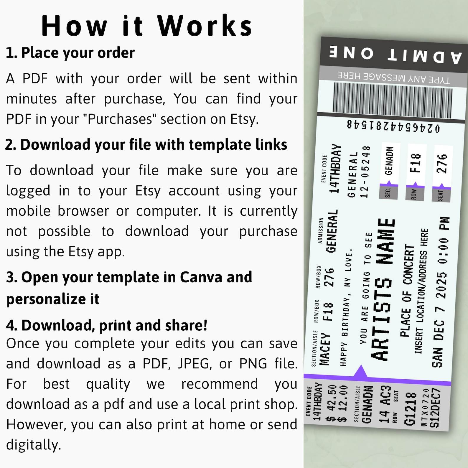 Fake Rockets Ticket Template Editable Concert Ticket Template | Surprise Gift Reveal | Custom Fake ...