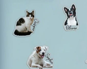 Custom Pet Magnet | Personalized Pet Face Magnet | Dog Cat Fridge Magnet | Pet Memorial Gift | Unique Home Decor for Pet Lovers