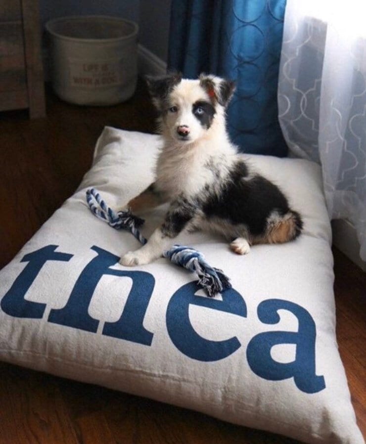 Furlap - Etsy Furlap - Etsy