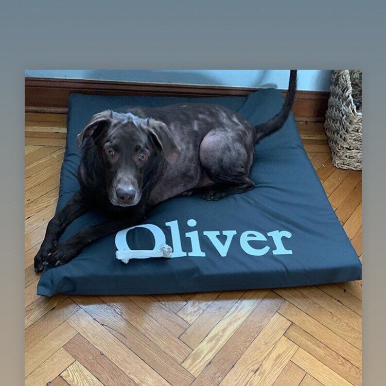 Furlap Cotton Canvas or Denim Dog Pet Bed and Duvets Zipper Etsy