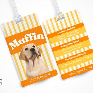 Op de afbeelding: Twee huisdier-ID-tags met een geel en wit gestreepte achtergrond. Eén tag toont een foto van een Labrador Retriever en de naam "Muffin". De andere tag heeft contact- en dierenartsgegevens.