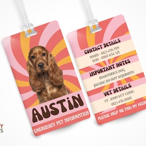 Può includere: Due targhette identificative rettangolari per animali con sfondo a spirale rosa, arancione e crema. Una targhetta mostra un cane spaniel marrone e il nome AUSTIN in lettere marroni. L'altra elenca contatti, note importanti e dati veterinari.