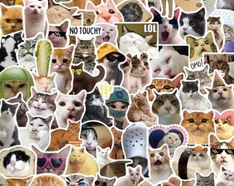 Cat Sticker Pack, 10–100pcs Funny Meme Stickers for Laptop, Scrapbook, Notebook, Water Bottle, Cute Sticker, Custom Sticker, Furry Sticker