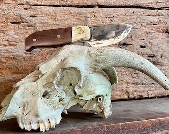 Skinner forjado a mano