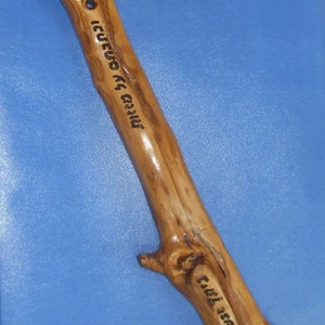 Israeli Handmade Judaica art Olive wood Mezuzah case (M030)