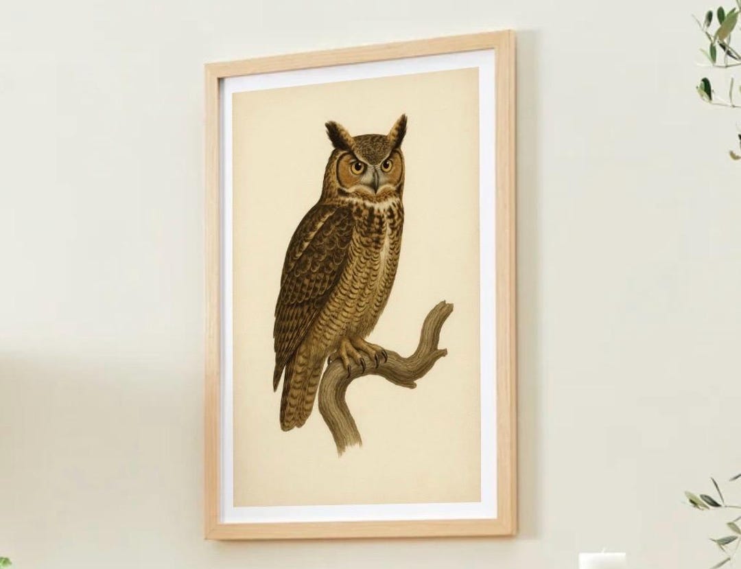 Great Horned Owl Wall Art Printable | Vintage Bird of Prey Illustration ...