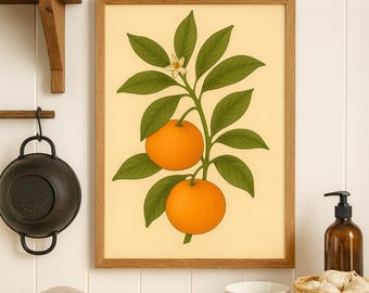 Clementine Botanical Print Vintage | Citrus Fruit Wall Art | Orange Kitchen Decor | Rustic Farmhouse Botanical