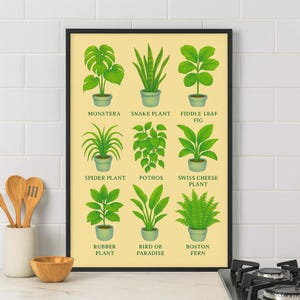 Puede incluir: Un estampado botánico enmarcado con ilustraciones de varias plantas de interior, incluyendo Monstera, Sansevieria y Ficus Lyrata. Cada planta está etiquetada con su nombre común. La obra de arte está sobre un fondo amarillo claro.