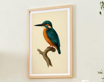 1929年 カワセミ鳥プリント 木版画 - 鳥の壁アート - 鳥の木版画