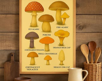Vintage Mushroom Chart | Amanita & Forest Fungi Illustration | Rustic Foraging Decor