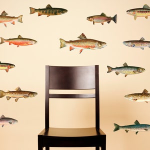 Trout Wall Decals - Set of 13 Fish Stickers - Great Gift for Fisherman / Angler / Trout Fishing