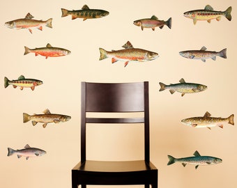 Trout Wall Decals - Set of 13 Fish Stickers - Great Gift for Fisherman / Angler / Trout Fishing