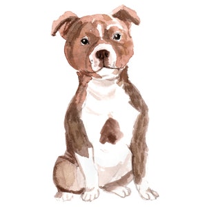 Staffordshire Bull Terrier Dog Wall Decal