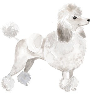 Poodle Dog Wall Decal