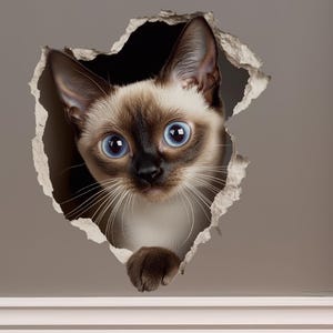 May include: A Siamese cat with blue eyes peeks through a hole in a wall. The cat's fur is a mix of light brown and white.