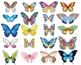Butterfly Wall Decals - Set of 20 Realistic Watercolor Butterflies for Walls, Windows, Mirrors, Furniture, Cars (#1355)
