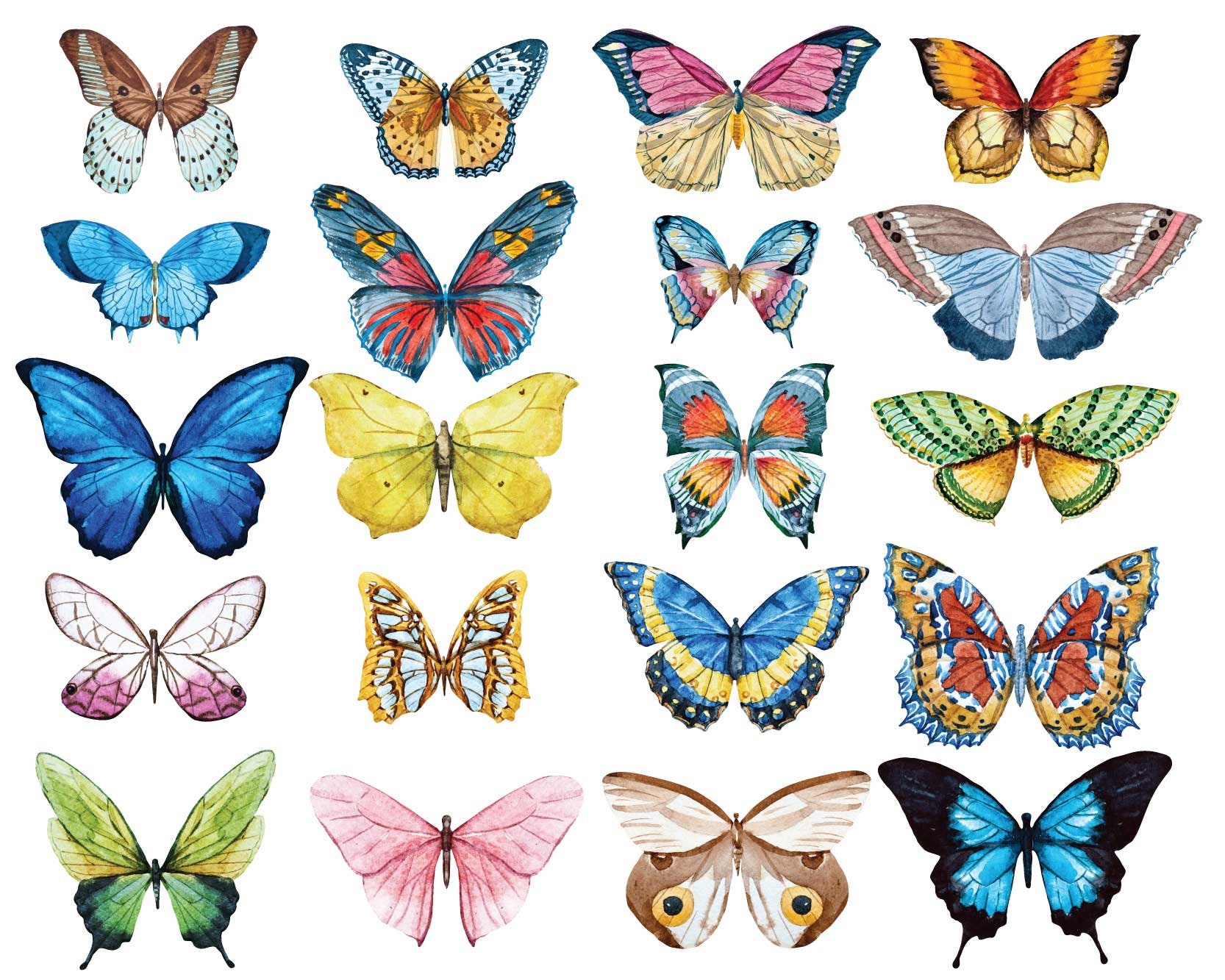 Vehicle Graphics - Animal and Wildlife Decals - VG845 Butterfly Decal