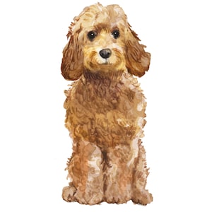 Könnte beinhalten: Ein Aquarellbild eines braunen und weißen Cockapoo-Hundes, der mit hochgestellten Ohren sitzt.