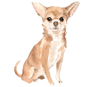 Chihuahua Dog Wall Decal (Short-haired)