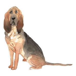 Bloodhound Dog Wall Decal