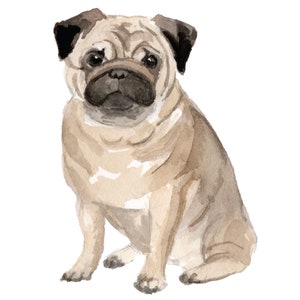 Pug Dog Wall Decal