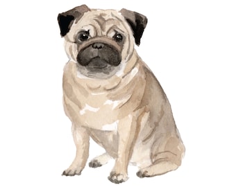 Calcomanía de pared Pug Dog