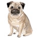 see more listings in the Dog Decals in Watercolor section