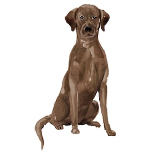 Chocolate Lab / Chocolate Labrador Retriever Wall Decal