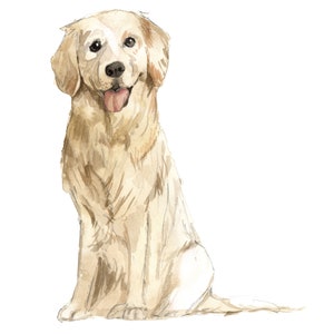 Golden Retriever Dog Wall Decal