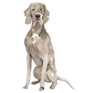 Weimaraner Dog Wall Decal