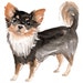 see more listings in the Dog Decals in Watercolor section