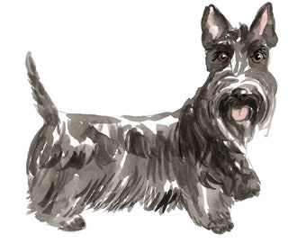 Scottish Terrier Dog Wall Decal